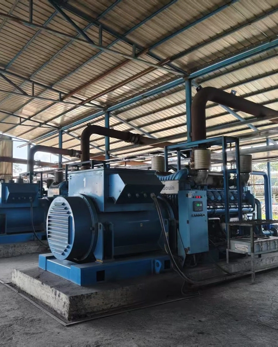 Project Mining Kalimantan